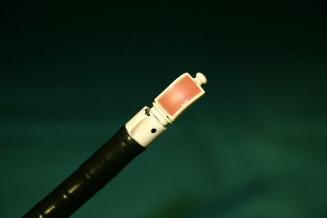 Echo bronchoscope