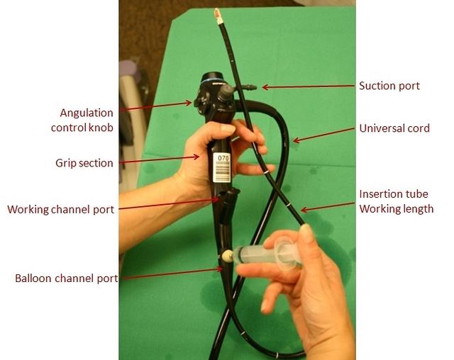 Echo bronchoscope (annotations)