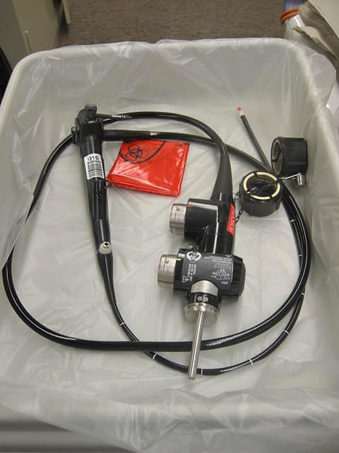 Echo bronchoscope