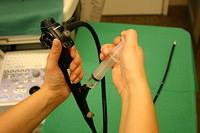 Echo bronchoscope