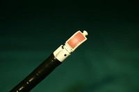 Echo bronchoscope