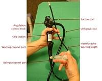 Echo bronchoscope (annotations)