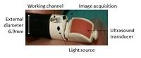 Echo bronchoscope (annotations)