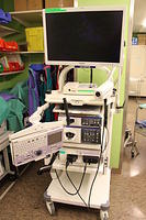 EBUS scope processor and monitor