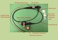 Video bronchoscope (annotations)