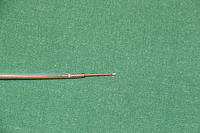 Transbronchial needle (WANG)